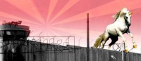 http://tranzmissionprisonproject.tumblr.com/