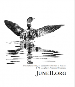 june11 loon sticker