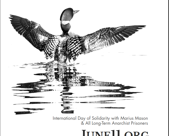 june11 loon sticker