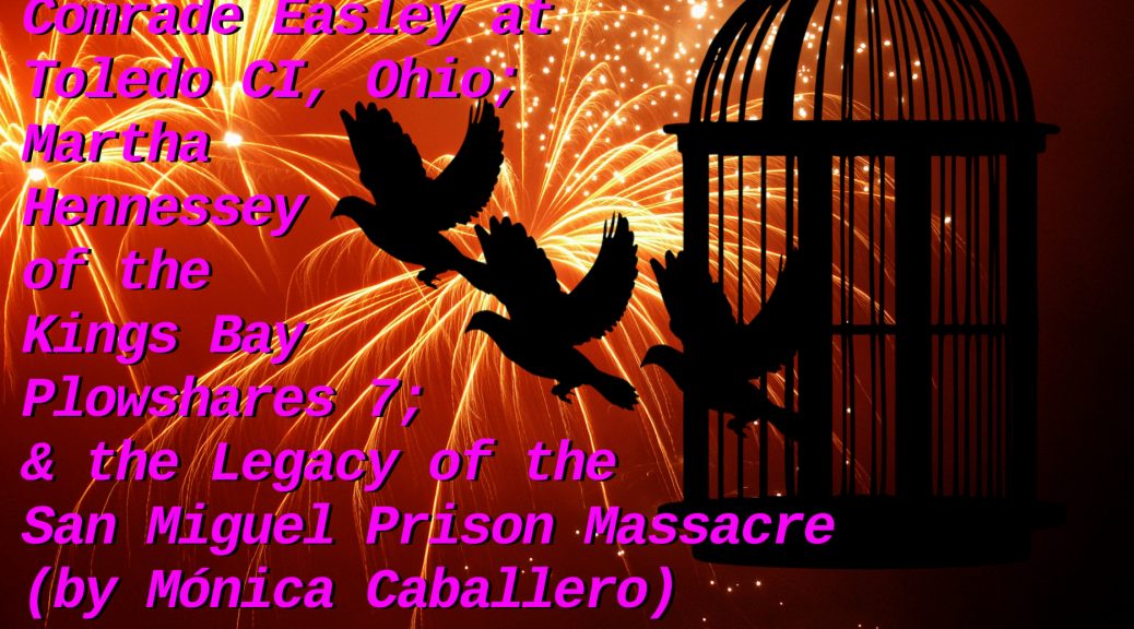 Fireworks with birds flying out of a cage in the foreground anda description of this week's show title